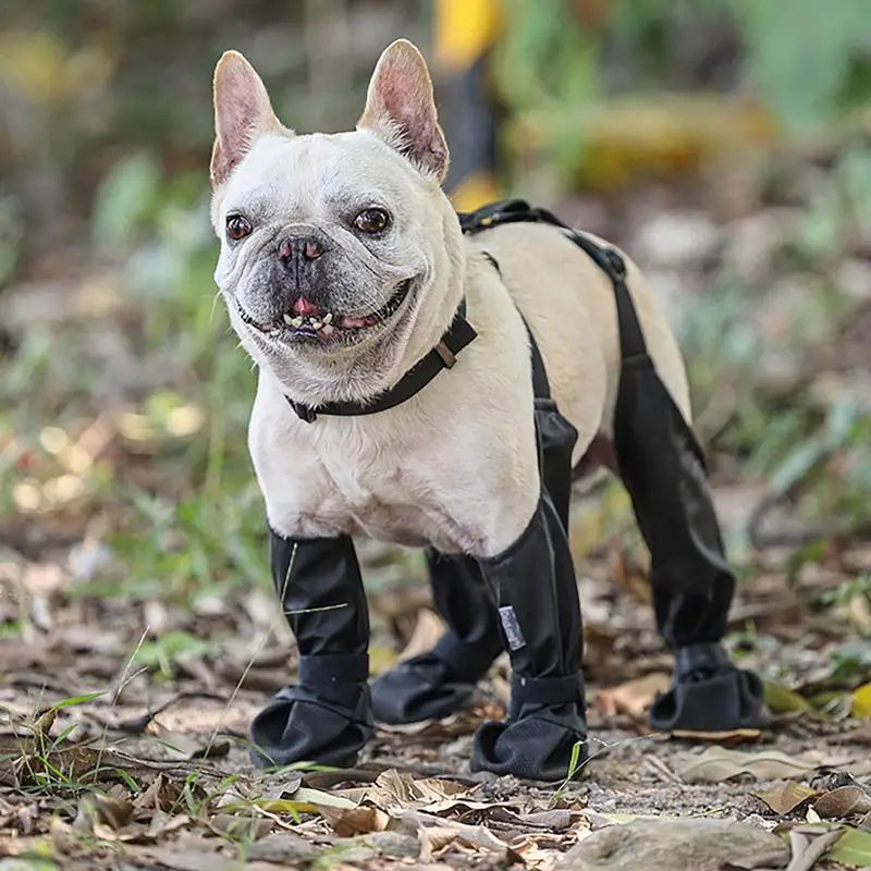 Protect Your Pup's Paws with Waterproof Anti-Slip Dog Boots - Perfect for Small to Large Dogs!
